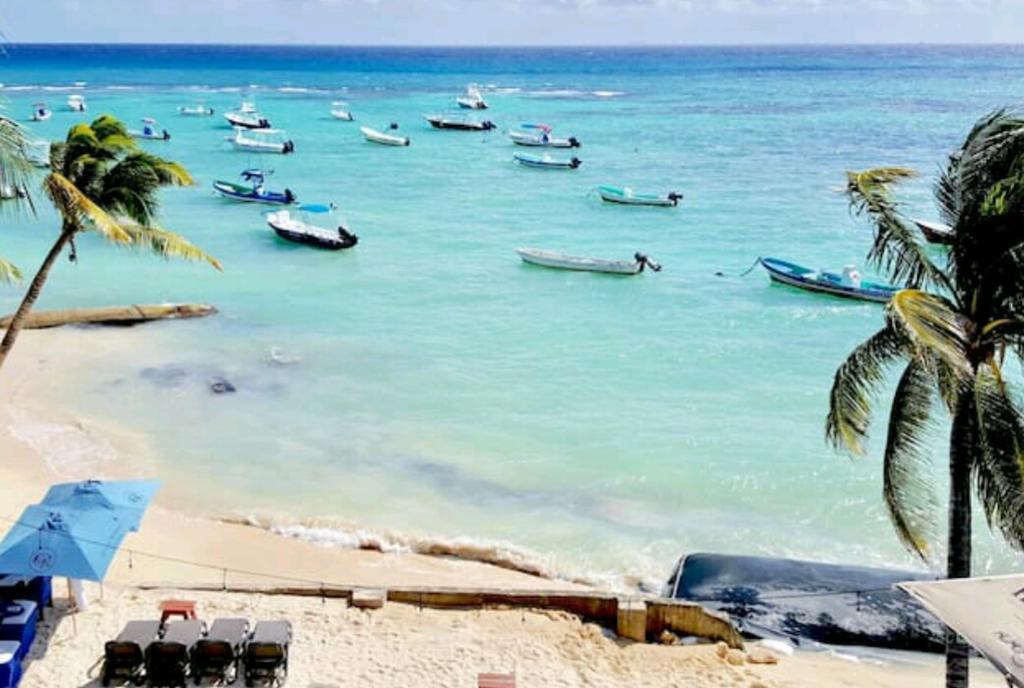 Boheme Playa del Carmen